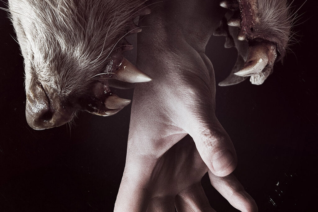 Hemlock Grove I, ep. 12