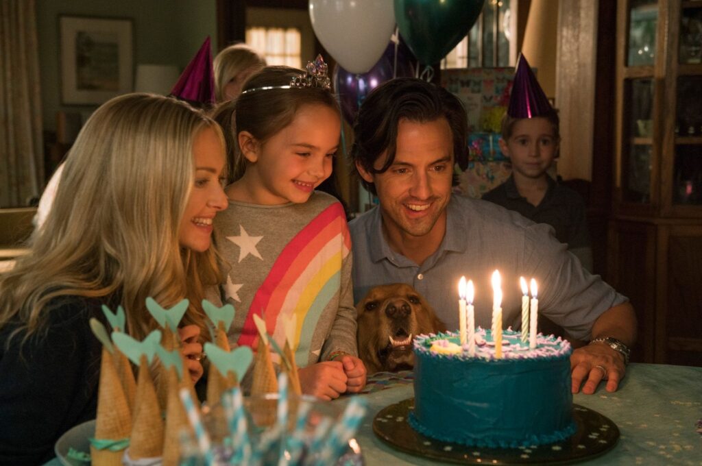 AMANDA SEYFRIED IN MILO VENTIMIGLIA V GLAVNIH VLOGAH FILMA NEVERJETNO ŽIVLJENJE PSIČKA ENZA